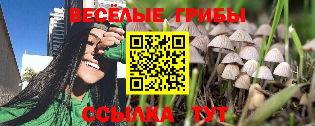 Галлюциногенные грибы ЛСД Лабытнанги